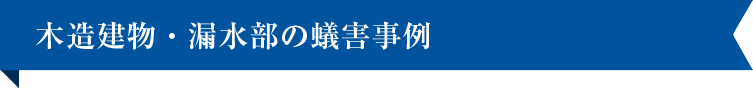 木造建物・漏水部の蟻害事例